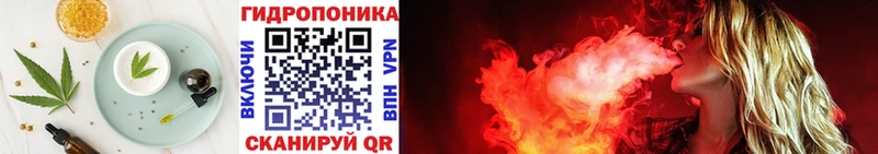магазин продажи наркотиков  Новомосковск  Canna-Cookies конопля 