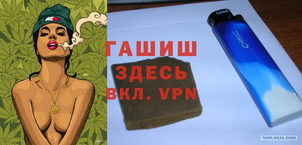стафф Ельня
