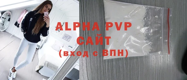 стафф Ельня