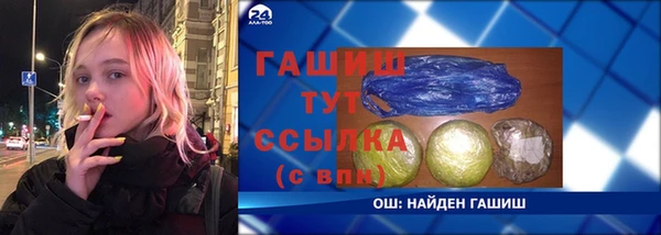 стафф Ельня