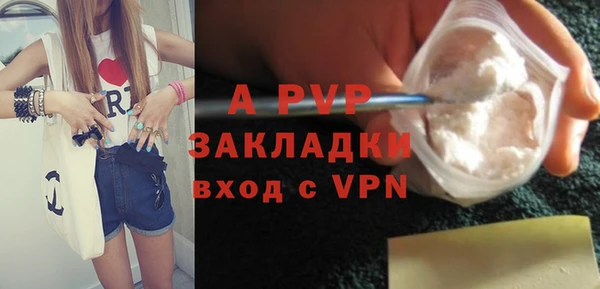 стафф Ельня