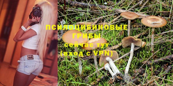 твердый Заволжск