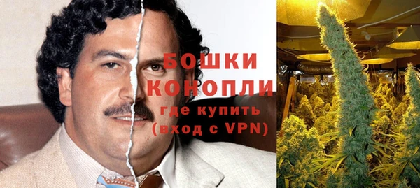 стафф Ельня